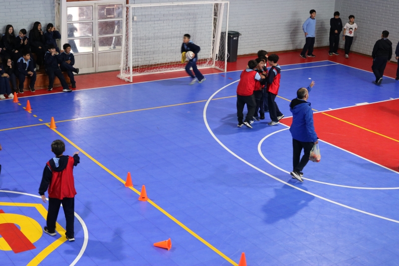 Día de la Actividad Física